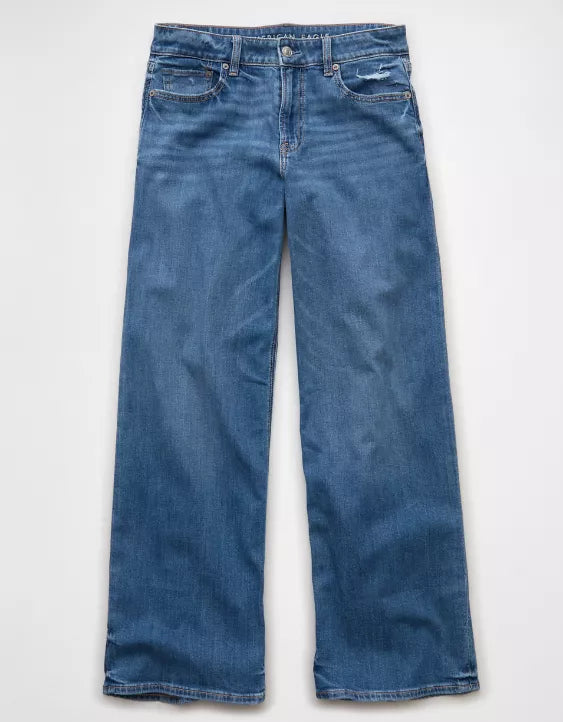 American Eagle AE Stretch Low-Rise Baggy Wide-Leg Jean