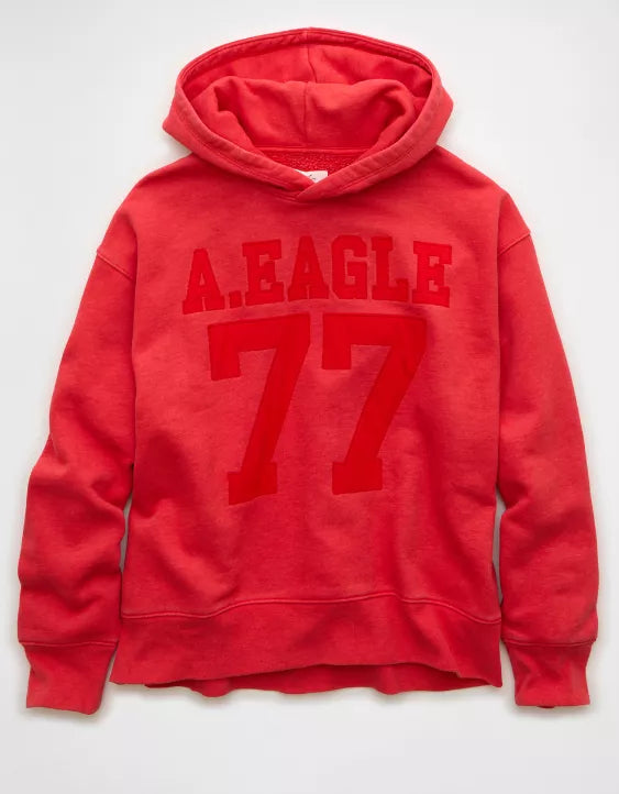 American Eagle AE Everyday Luxe Graphic Hoodie