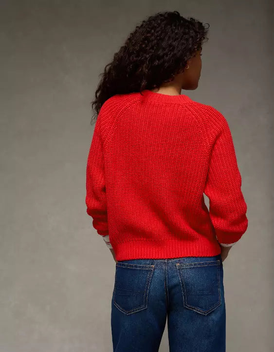American Eagle AE Crew Neck Raglan Sweater