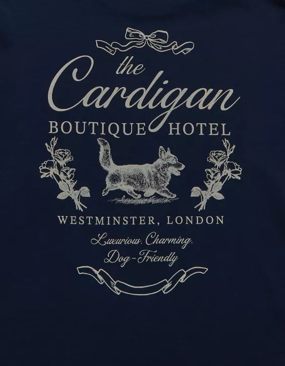 American Eagle AE Everyday Luxe Graphic T-Shirt