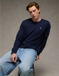 American Eagle AE Lightweight Icon Long-Sleeve T-Shirt