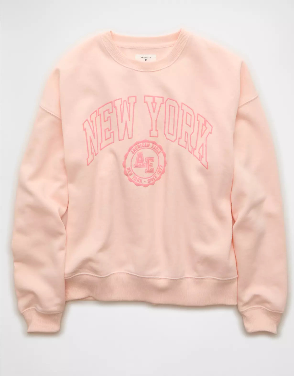 American Eagle AE Funday Crew Neck Sweatshirt